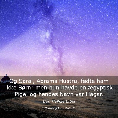 Picture 03 - 1 Mosebog 16:1 DA1871 - Og Sarai, Abrams Hustru, fødte ham ikke Børn; - Bible Verse Picture