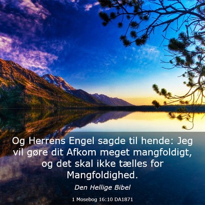 Picture 03 - 1 Mosebog 16:10 DA1871 - Og Herrens Engel sagde til hende: Jeg vil gøre - Bible Verse Picture