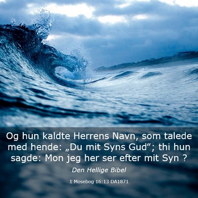 Picture 03 - 1 Mosebog 16:13 DA1871 - Og hun kaldte Herrens Navn, som talede med hende: - Bible Verse Picture