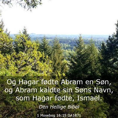 Picture 03 - 1 Mosebog 16:15 DA1871 - Og Hagar fødte Abram en Søn, og Abram kaldte - Bible Verse Picture