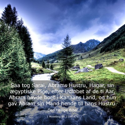 Picture 03 - 1 Mosebog 16:3 DA1871 - Saa tog Sarai, Abrams Hustru, Hagar, sin - Bible Verse Picture