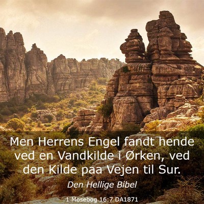 Picture 03 - 1 Mosebog 16:7 DA1871 - Men Herrens Engel fandt hende ved en Vandkilde i - Bible Verse Picture