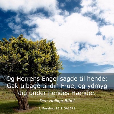 Picture 03 - 1 Mosebog 16:9 DA1871 - Og Herrens Engel sagde til hende: Gak tilbage til - Bible Verse Picture