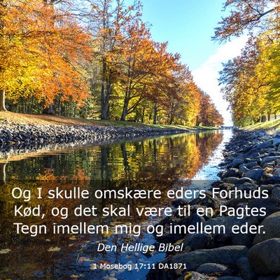 Picture 03 - 1 Mosebog 17:11 DA1871 - Og I skulle omskære eders Forhuds Kød, og det - Bible Verse Picture