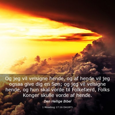 Picture 03 - 1 Mosebog 17:16 DA1871 - Og jeg vil velsigne hende, og af hende vil jeg - Bible Verse Picture