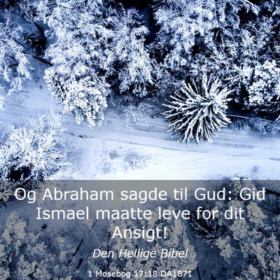 Picture 03 - 1 Mosebog 17:18 DA1871 - Og Abraham sagde til Gud: Gid Ismael maatte leve - Bible Verse Picture