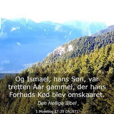 Picture 03 - 1 Mosebog 17:25 DA1871 - Og Ismael, hans Søn, var tretten Aar gammel, der - Bible Verse Picture
