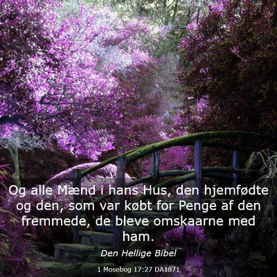 Picture 03 - 1 Mosebog 17:27 DA1871 - Og alle Mænd i hans Hus, den hjemfødte og den, - Bible Verse Picture
