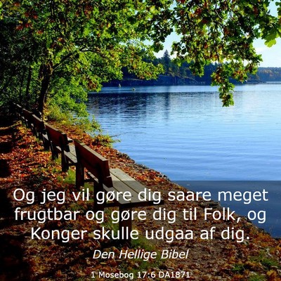 Picture 03 - 1 Mosebog 17:6 DA1871 - Og jeg vil gøre dig saare meget frugtbar og - Bible Verse Picture