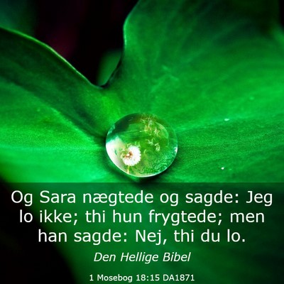 Picture 03 - 1 Mosebog 18:15 DA1871 - Og Sara nægtede og sagde: Jeg lo ikke; thi hun - Bible Verse Picture