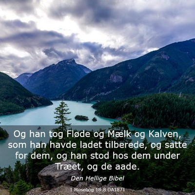 Picture 03 - 1 Mosebog 18:8 DA1871 - Og han tog Fløde og Mælk og Kalven, som han - Bible Verse Picture