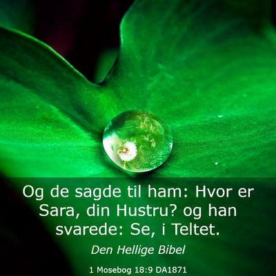 Picture 03 - 1 Mosebog 18:9 DA1871 - Og de sagde til ham: Hvor er Sara, din Hustru? og - Bible Verse Picture