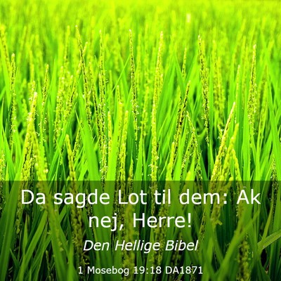 Picture 03 - 1 Mosebog 19:18 DA1871 - Da sagde Lot til dem: Ak nej, - Bible Verse Picture