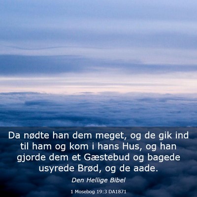 Picture 03 - 1 Mosebog 19:3 DA1871 - Da nødte han dem meget, og de gik ind til ham og - Bible Verse Picture