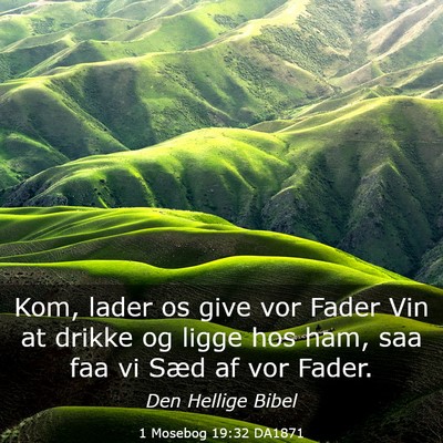 Picture 03 - 1 Mosebog 19:32 DA1871 - Kom, lader os give vor Fader Vin at drikke og - Bible Verse Picture