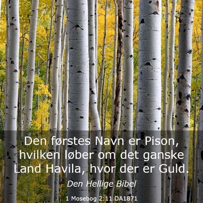 Picture 03 - 1 Mosebog 2:11 DA1871 - Den førstes Navn er Pison, hvilken løber om det - Bible Verse Picture