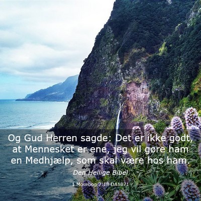 Picture 03 - 1 Mosebog 2:18 DA1871 - Og Gud Herren sagde: Det er ikke godt, at - Bible Verse Picture