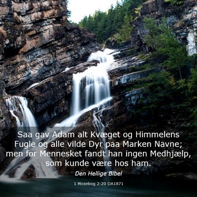 Picture 03 - 1 Mosebog 2:20 DA1871 - Saa gav Adam alt Kvæget og Himmelens Fugle og - Bible Verse Picture