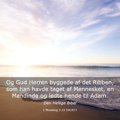 Picture 03 - 1 Mosebog 2:22 DA1871 - Og Gud Herren byggede af det Ribben, som han - Bible Verse Picture