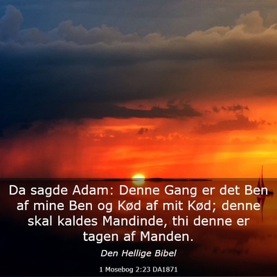 Picture 03 - 1 Mosebog 2:23 DA1871 - Da sagde Adam: Denne Gang er det Ben af mine Ben - Bible Verse Picture