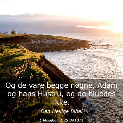 Picture 03 - 1 Mosebog 2:25 DA1871 - Og de vare begge nøgne, Adam og hans Hustru, og - Bible Verse Picture