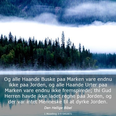Picture 03 - 1 Mosebog 2:5 DA1871 - Og alle Haande Buske paa Marken vare endnu ikke - Bible Verse Picture