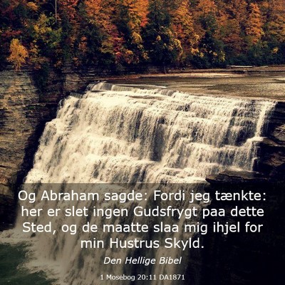 Picture 03 - 1 Mosebog 20:11 DA1871 - Og Abraham sagde: Fordi jeg tænkte: her er slet - Bible Verse Picture