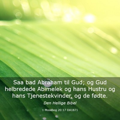 Picture 03 - 1 Mosebog 20:17 DA1871 - Saa bad Abraham til Gud; og Gud helbredede - Bible Verse Picture