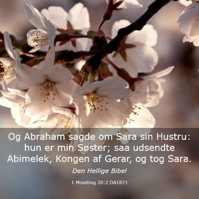 Picture 03 - 1 Mosebog 20:2 DA1871 - Og Abraham sagde om Sara sin Hustru: hun er min - Bible Verse Picture