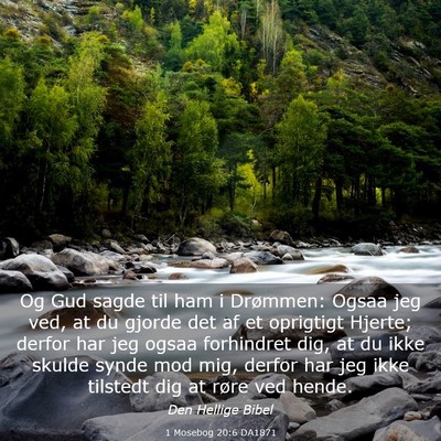 Picture 03 - 1 Mosebog 20:6 DA1871 - Og Gud sagde til ham i Drømmen: Ogsaa jeg ved, - Bible Verse Picture