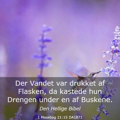 Picture 03 - 1 Mosebog 21:15 DA1871 - Der Vandet var drukket af Flasken, da kastede hun - Bible Verse Picture