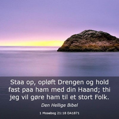 Picture 03 - 1 Mosebog 21:18 DA1871 - Staa op, opløft Drengen og hold fast paa ham med - Bible Verse Picture