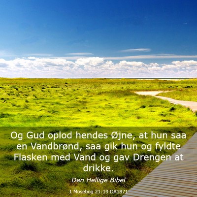 Picture 03 - 1 Mosebog 21:19 DA1871 - Og Gud oplod hendes Øjne, at hun saa en - Bible Verse Picture
