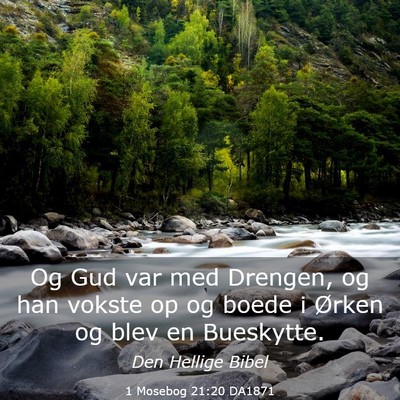 Picture 03 - 1 Mosebog 21:20 DA1871 - Og Gud var med Drengen, og han vokste op og boede - Bible Verse Picture
