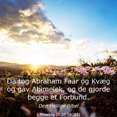 Picture 03 - 1 Mosebog 21:27 DA1871 - Da tog Abraham Faar og Kvæg og gav Abimelek, og - Bible Verse Picture