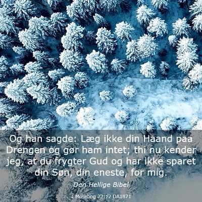 Picture 03 - 1 Mosebog 22:12 DA1871 - Og han sagde: Læg ikke din Haand paa Drengen og - Bible Verse Picture