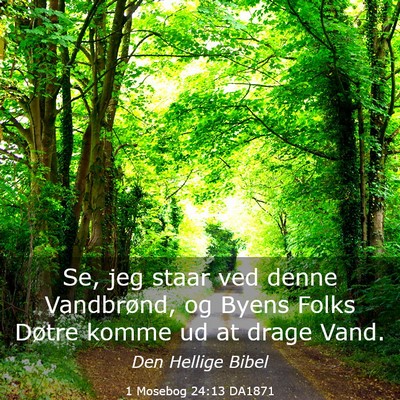 Picture 03 - 1 Mosebog 24:13 DA1871 - Se, jeg staar ved denne Vandbrønd, og Byens - Bible Verse Picture