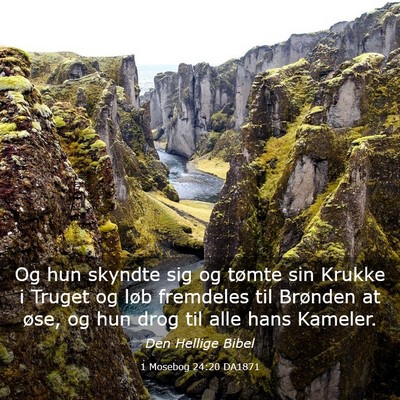Picture 03 - 1 Mosebog 24:20 DA1871 - Og hun skyndte sig og tømte sin Krukke i Truget - Bible Verse Picture