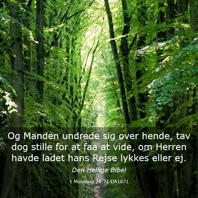 Picture 03 - 1 Mosebog 24:21 DA1871 - Og Manden undrede sig over hende, tav dog stille - Bible Verse Picture