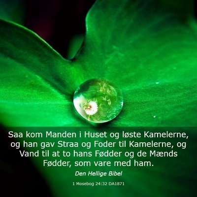 Picture 03 - 1 Mosebog 24:32 DA1871 - Saa kom Manden i Huset og løste Kamelerne, og - Bible Verse Picture