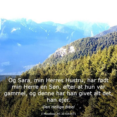 Picture 03 - 1 Mosebog 24:36 DA1871 - Og Sara, min Herres Hustru, har født min Herre - Bible Verse Picture