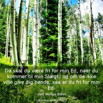 Picture 03 - 1 Mosebog 24:41 DA1871 - Da skal du være fri for min Ed, naar du kommer - Bible Verse Picture
