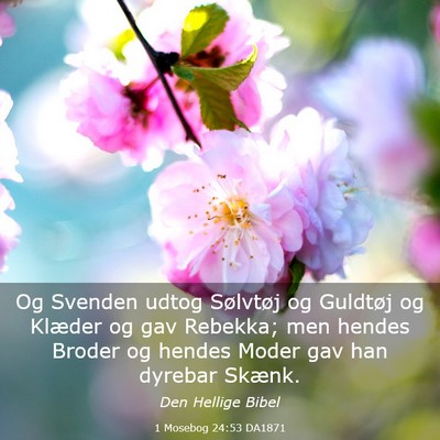 Picture 03 - 1 Mosebog 24:53 DA1871 - Og Svenden udtog Sølvtøj og Guldtøj og Klæder - Bible Verse Picture