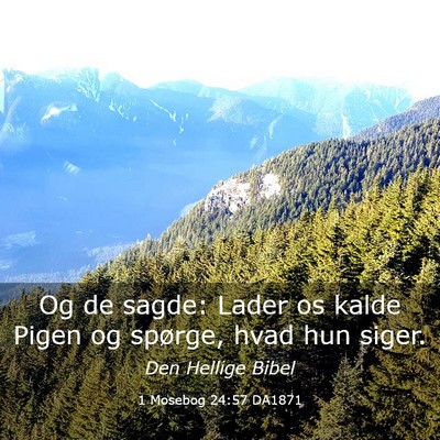 Picture 03 - 1 Mosebog 24:57 DA1871 - Og de sagde: Lader os kalde Pigen og spørge, - Bible Verse Picture