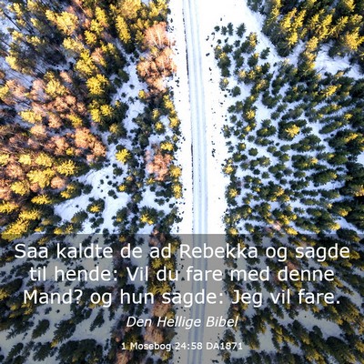 Picture 03 - 1 Mosebog 24:58 DA1871 - Saa kaldte de ad Rebekka og sagde til hende: Vil - Bible Verse Picture