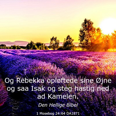 Picture 03 - 1 Mosebog 24:64 DA1871 - Og Rebekka opløftede sine Øjne og saa Isak og - Bible Verse Picture