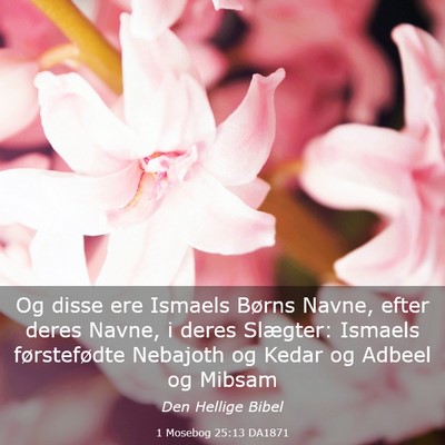 Picture 03 - 1 Mosebog 25:13 DA1871 - Og disse ere Ismaels Børns Navne, efter deres - Bible Verse Picture