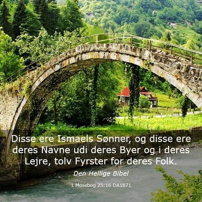 Picture 03 - 1 Mosebog 25:16 DA1871 - Disse ere Ismaels Sønner, og disse ere deres - Bible Verse Picture