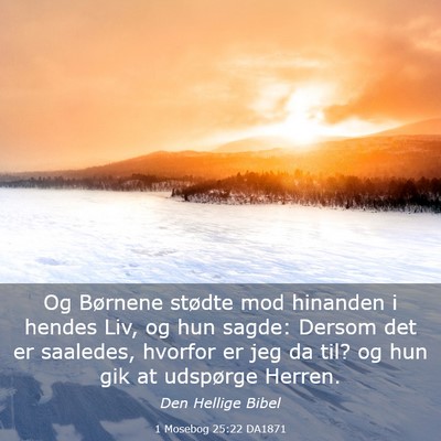 Picture 03 - 1 Mosebog 25:22 DA1871 - Og Børnene stødte mod hinanden i hendes Liv, og - Bible Verse Picture