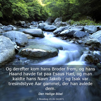 Picture 03 - 1 Mosebog 25:26 DA1871 - Og derefter kom hans Broder frem, og hans Haand - Bible Verse Picture